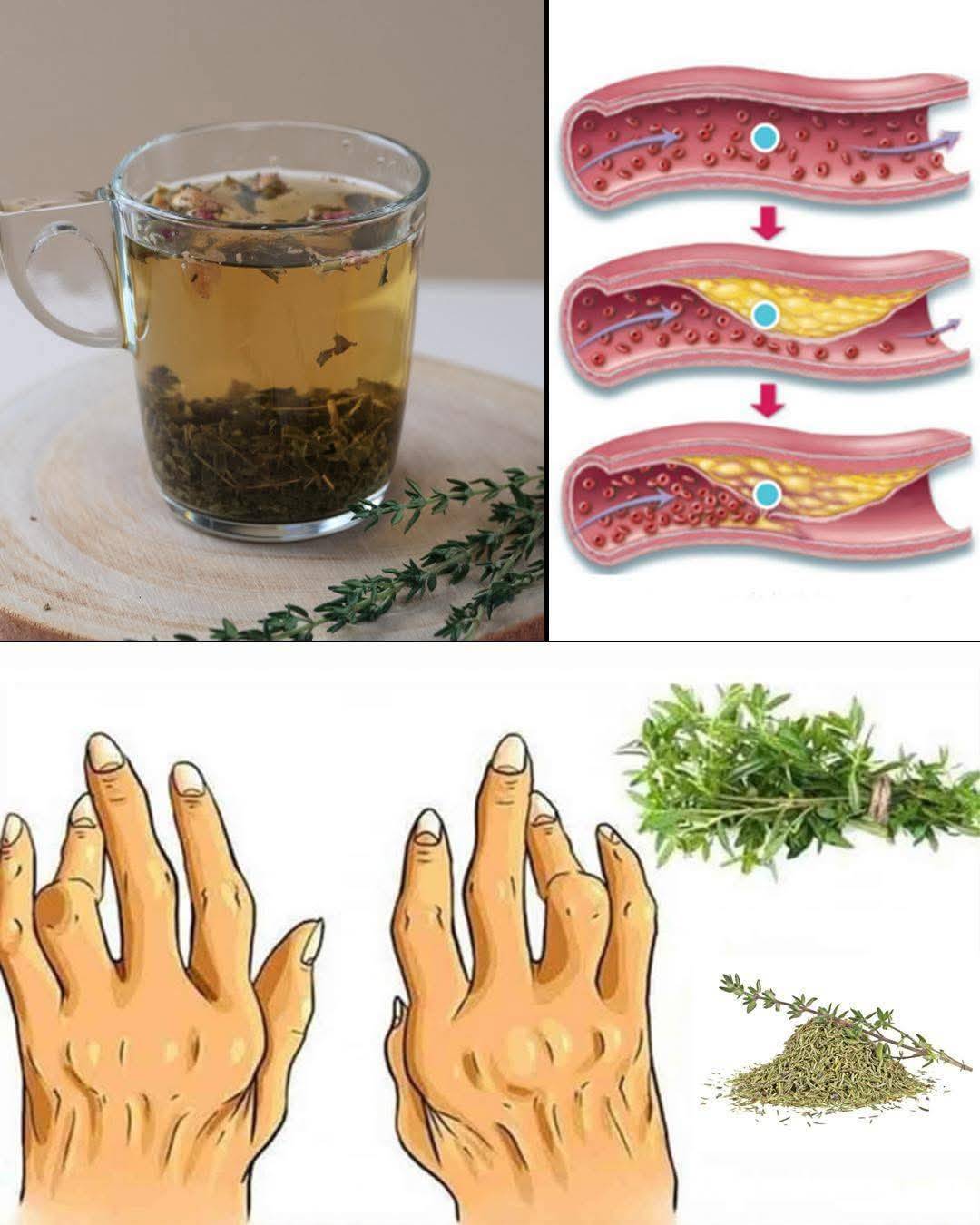 Cure All Your Ailments like Diabetes, Poor Circulation, Fatty Liver, High Blood Pressure, and Cancer with this Plant…